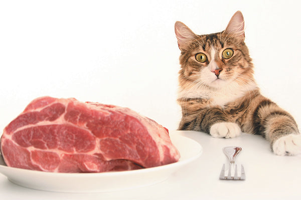 Raw Cat Food