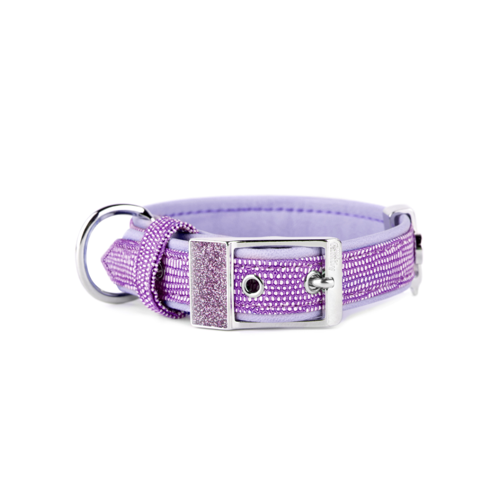 My Family Saint Tropez Dog Collar Liliac 1/2 Inch Width