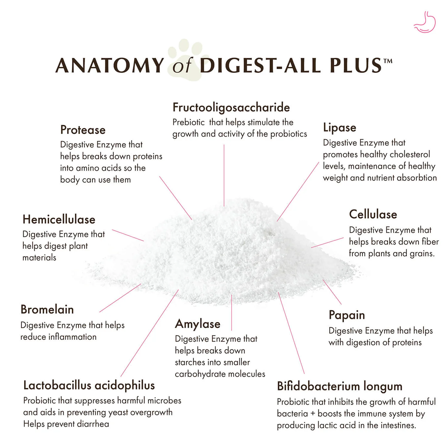 Wholistic Pet Organics Digest All Plus Powder