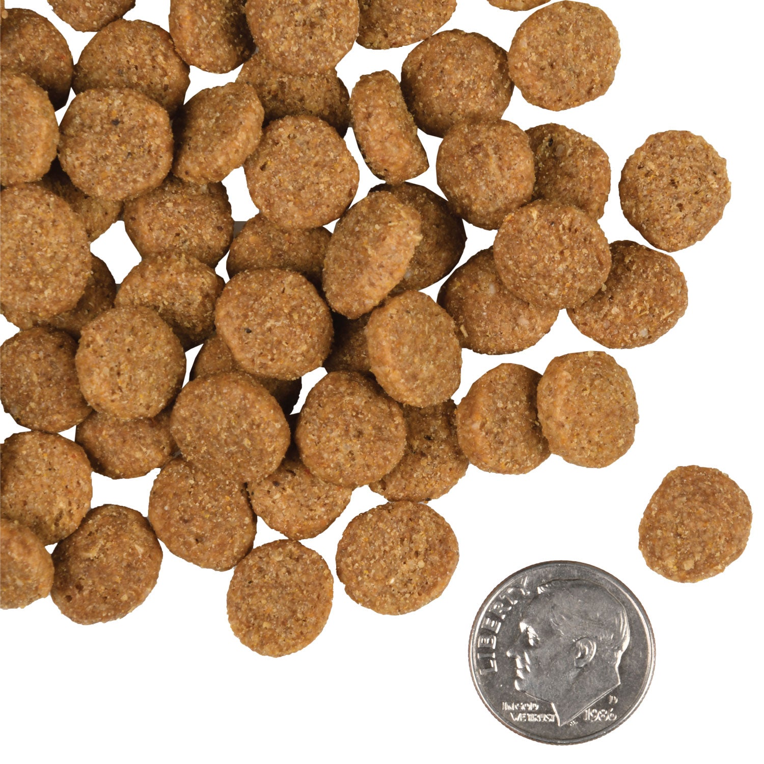 Fromm Dry Dog Food Gold Large Breed Adult