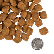 Fromm Dry Dog Food Gold Adult