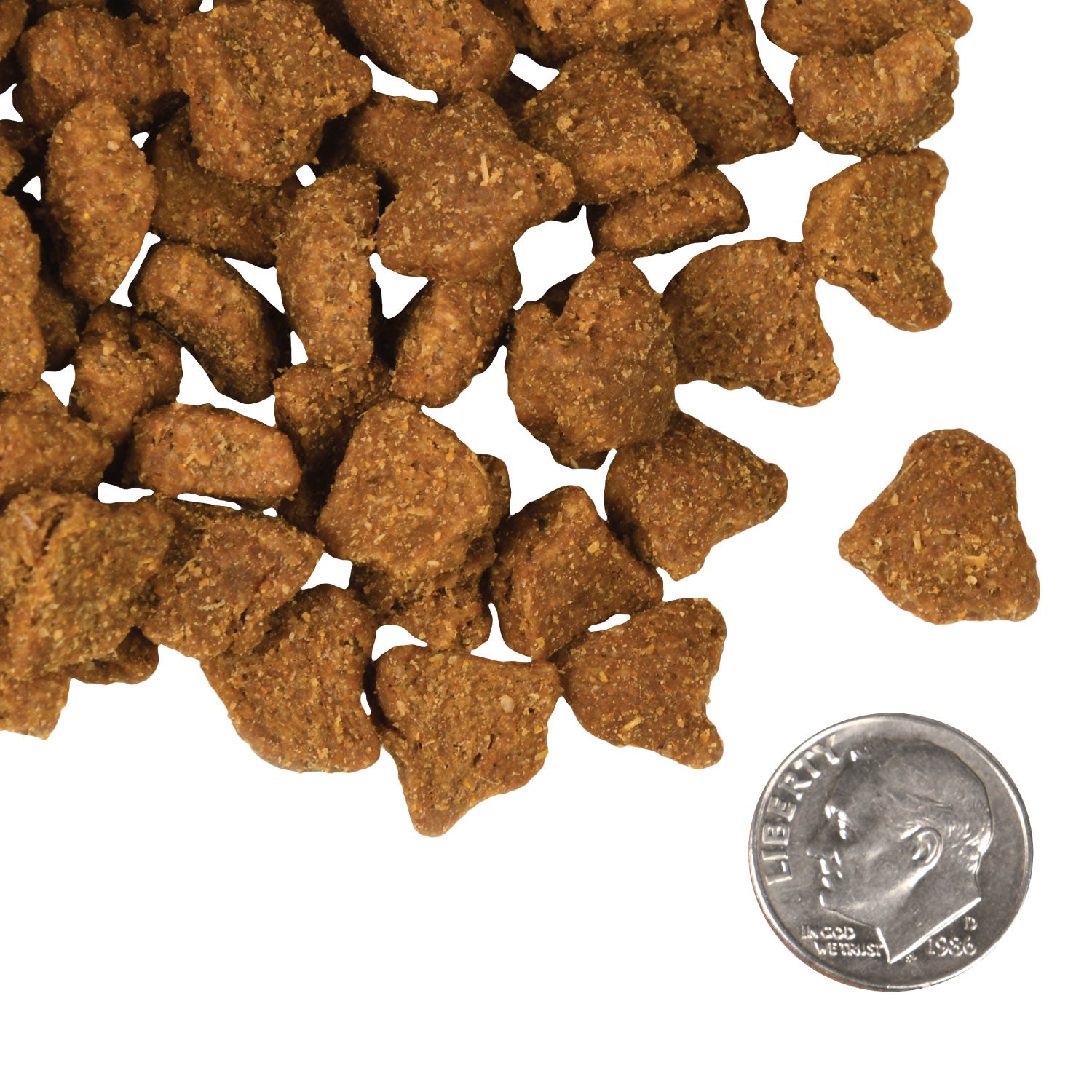 Fromm Dry Dog Food Zealambder