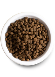 Open Farm Grain Free Chicken & Salmon Puppy