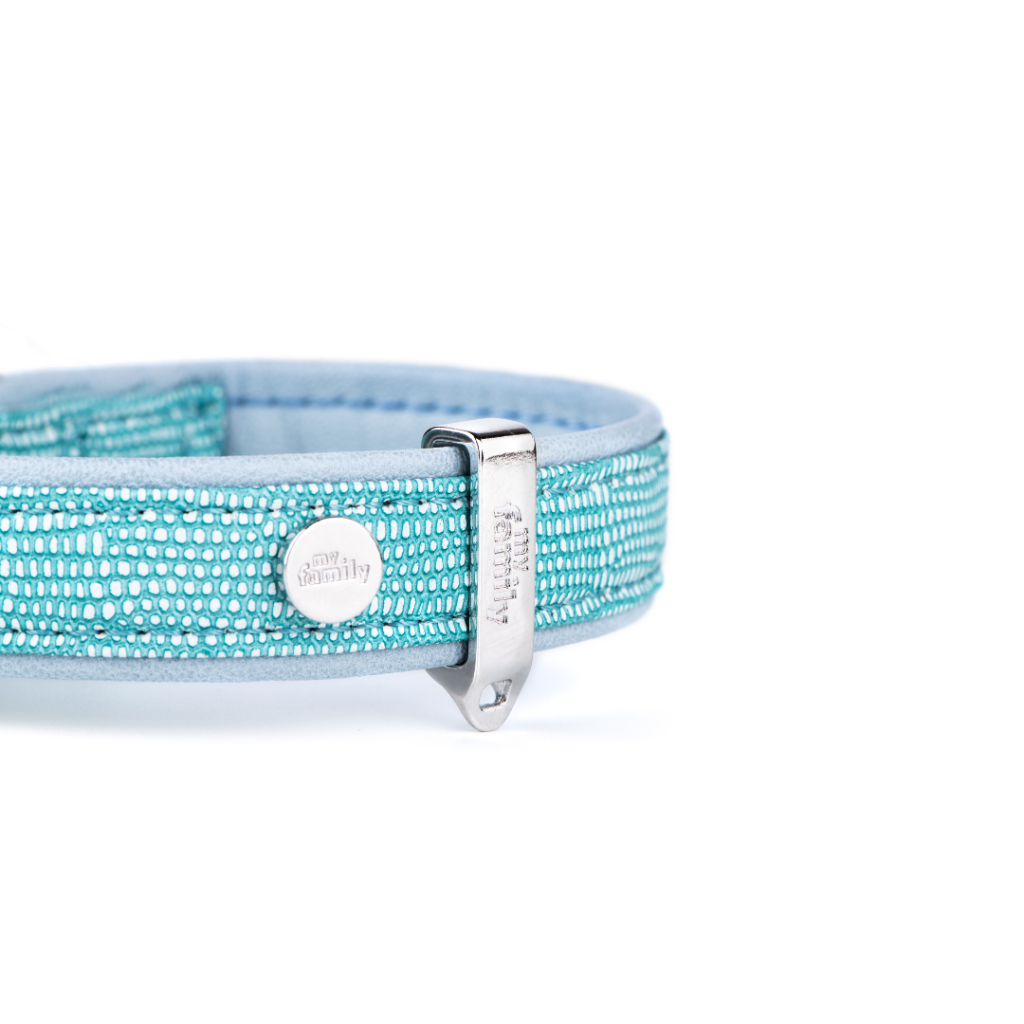My Family Saint Tropez Dog Collar Turquoise 1/2 Inch Width