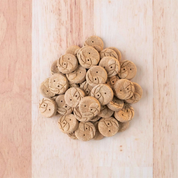 Earthborn EarthBites Crunchy Salmon Biscuits