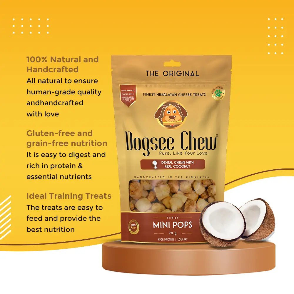 Dogsee Chew Coconut Mini Pops
