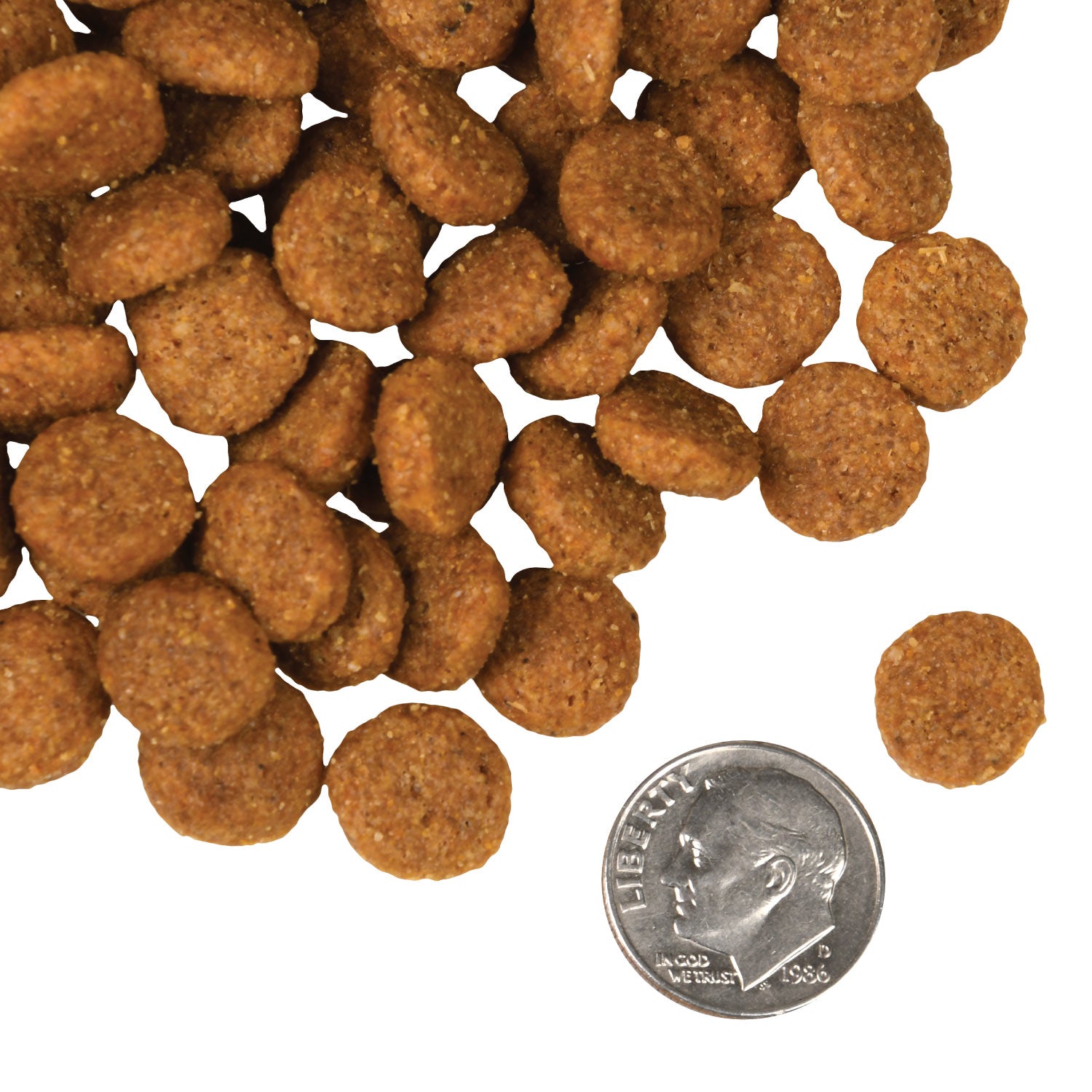 Fromm Dry Dog Food Pork & Applesauce