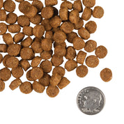Fromm Dry Dog Food Gold Puppy