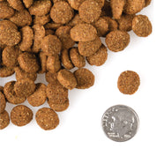 Fromm Dry Dog Food Gold Large Breed Weight Management