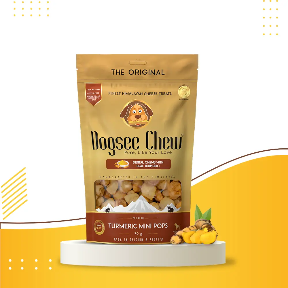 Dogsee Chew Turmeric Mini Pops