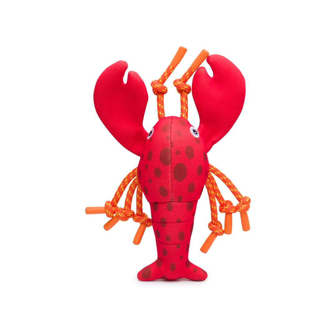 FabDog Floaties Lobster