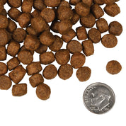 Fromm Dry Dog Food Salmon Tunalini