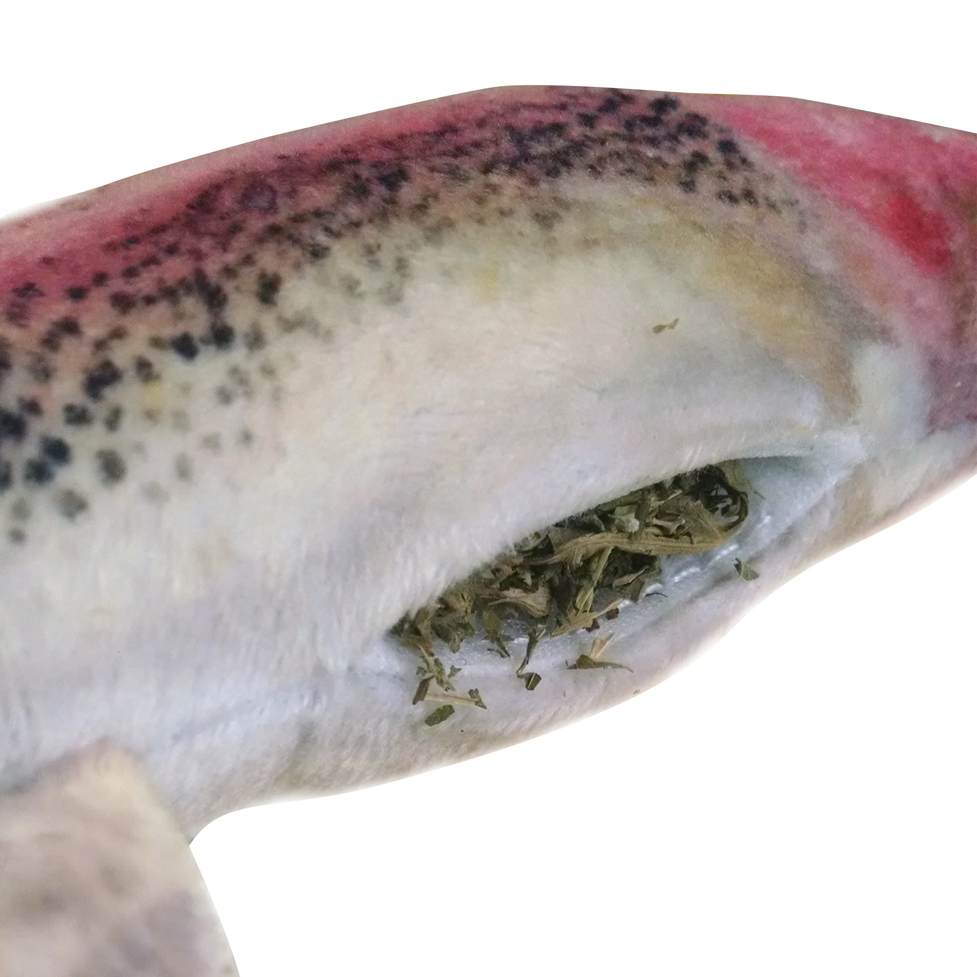 Meowijuana Get Smoked Rainbow Trout Refillable Catnip Cat Toy