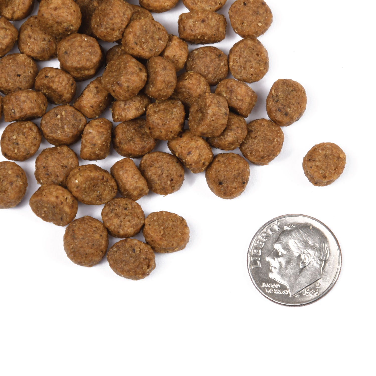 Fromm Dry Dog Food Classic Puppy