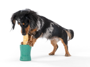 West Paw Funnl