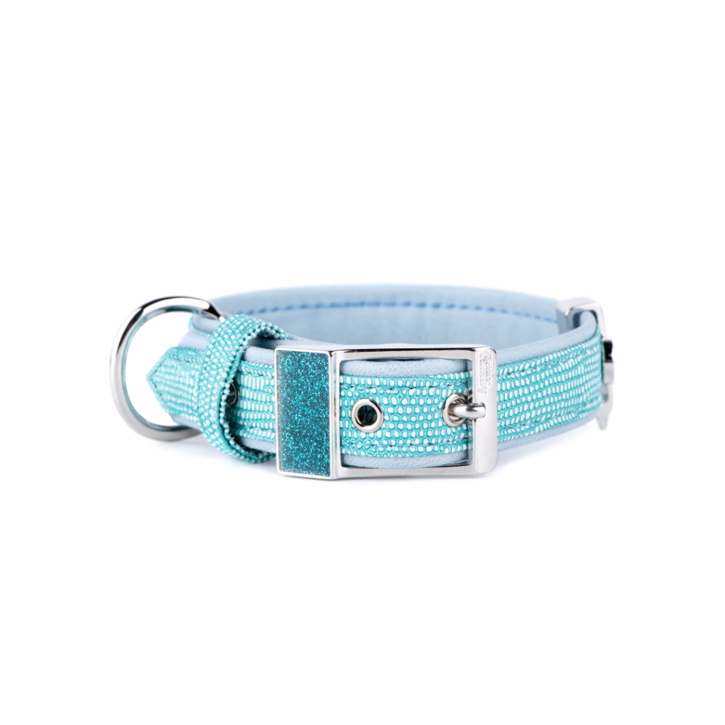 My Family Saint Tropez Dog Collar Turquoise 1/2 Inch Width