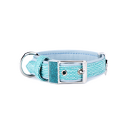 My Family Saint Tropez Dog Collar Turquoise 1/2 Inch Width