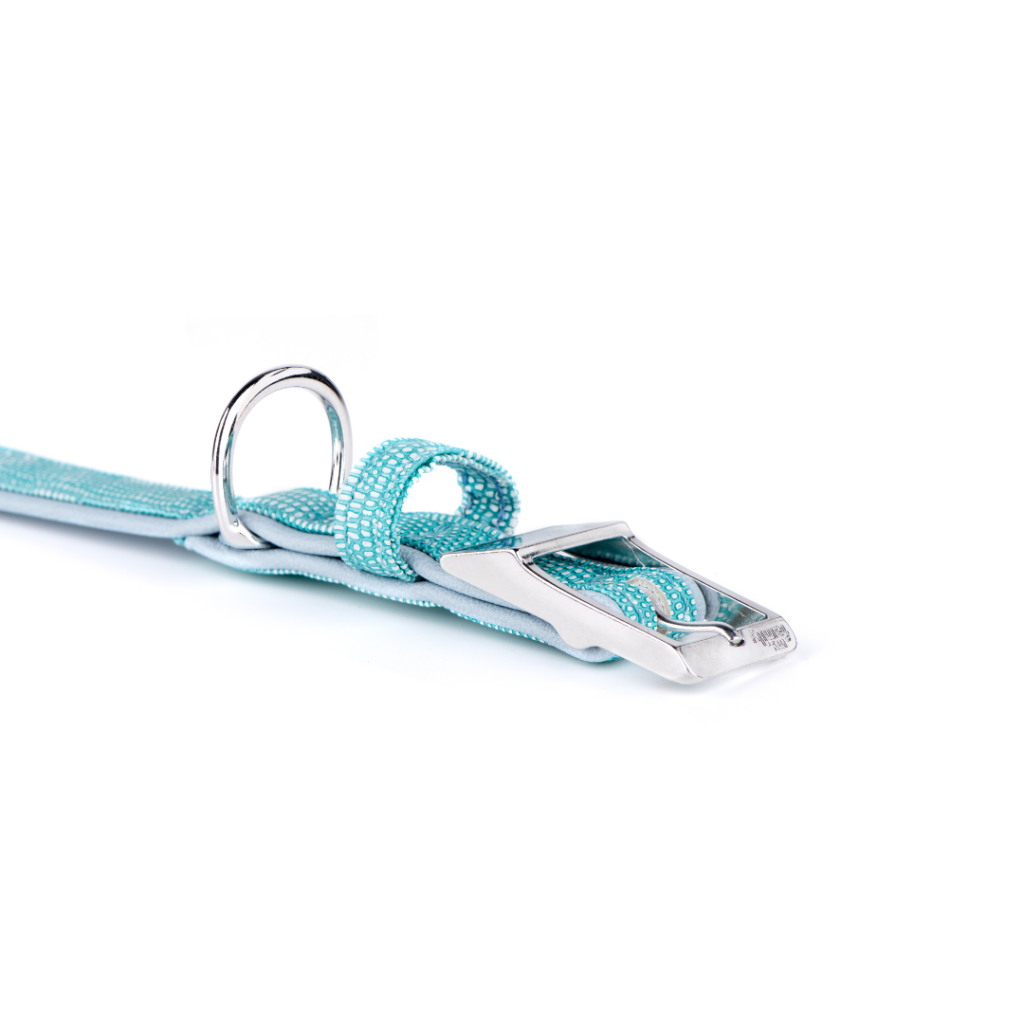 My Family Saint Tropez Dog Collar Turquoise 1/2 Inch Width