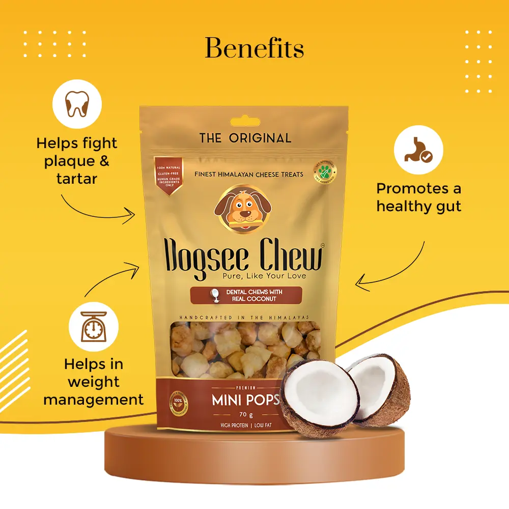 Dogsee Chew Coconut Mini Pops