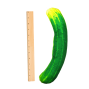 Meowijuana Get Kickin Refillable Spicy Pickle Kicker Cat Toy