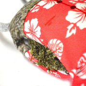 Meowijuana Jump N Jamb Get Wild Sloth Refillable Catnip Cat Toy