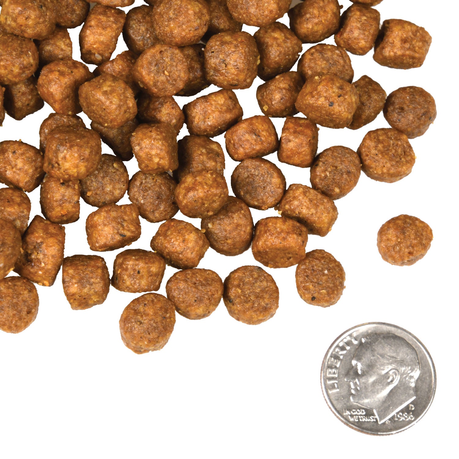 Fromm Dry Dog Food Beef Frittata