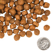 Fromm Dry Dog Food Beef Frittata