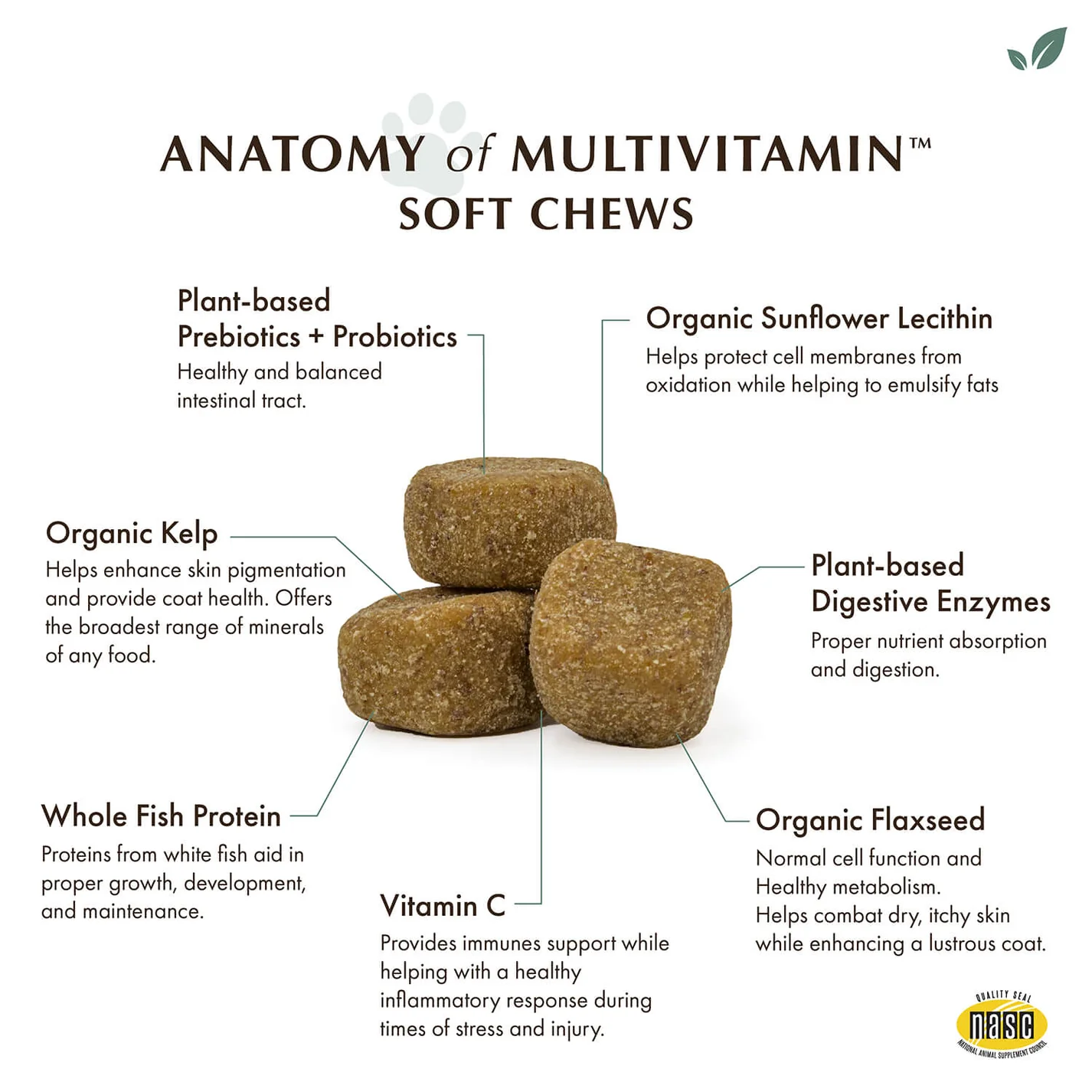 Wholistic Pet Organics Daily Multivitamin Soft Chews