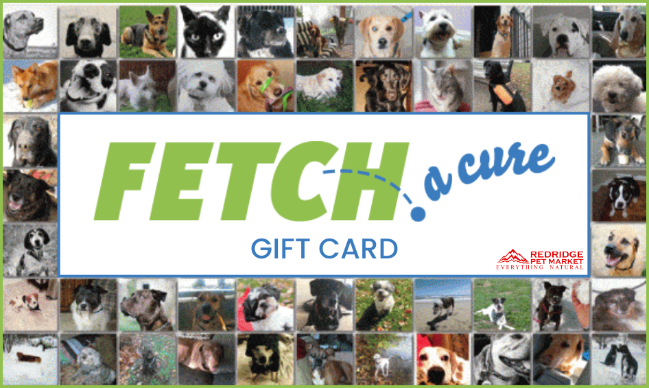 Fetch1.png