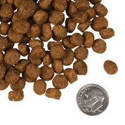 Fromm Dry Dog Food Salmon A La Veg