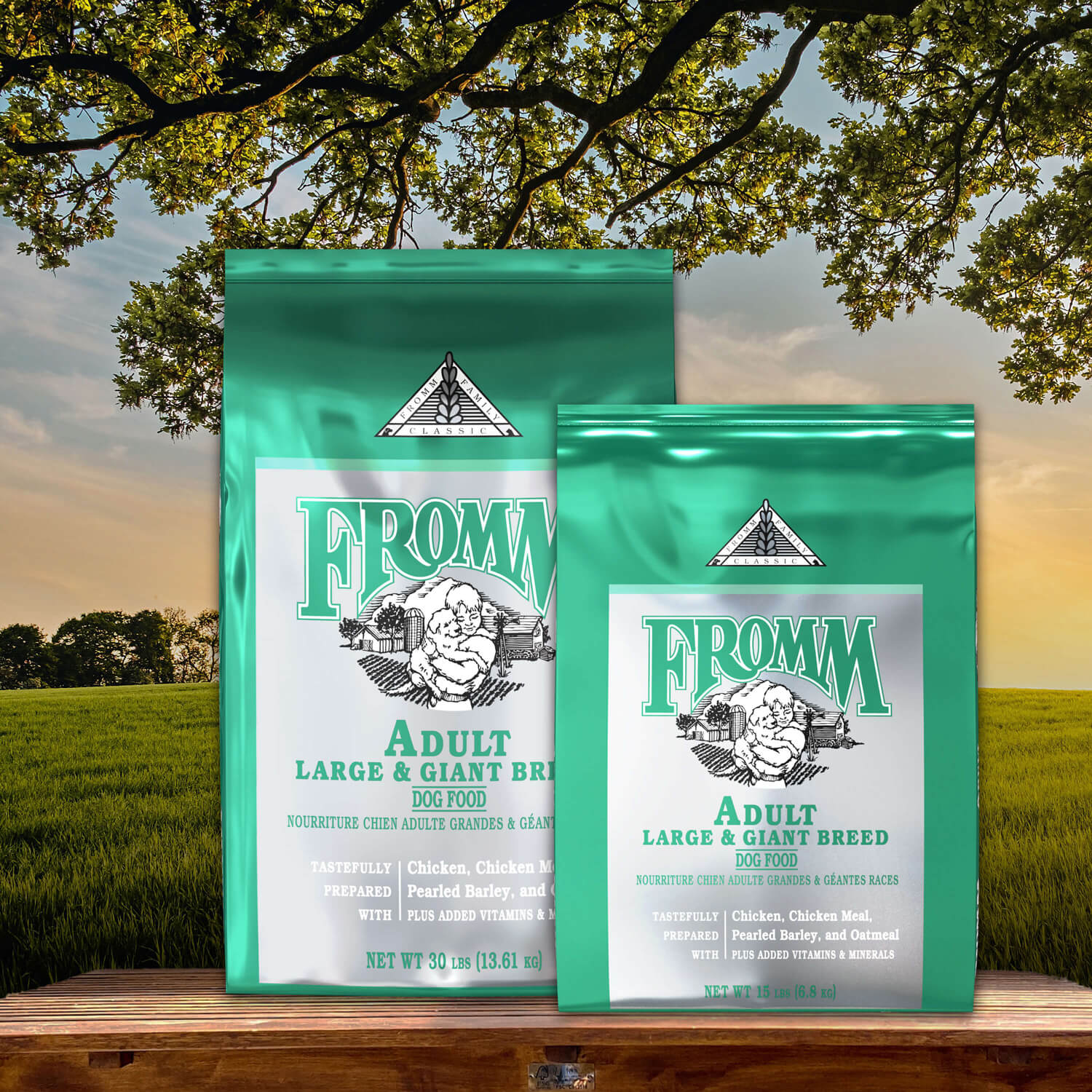 Fromm Classic Adult Large & Giant Breed Recipe
