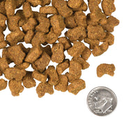 Fromm Dry Dog Food Lamb & Lentil