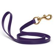 Biothane Leash 5/8 Wide X 6ft Long