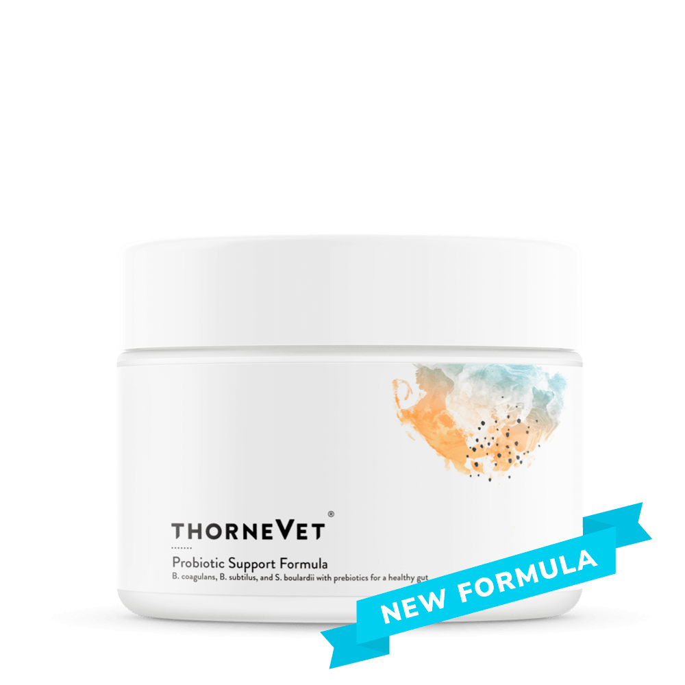 ThorneVet Probiotic Support Formula Chews 90ct