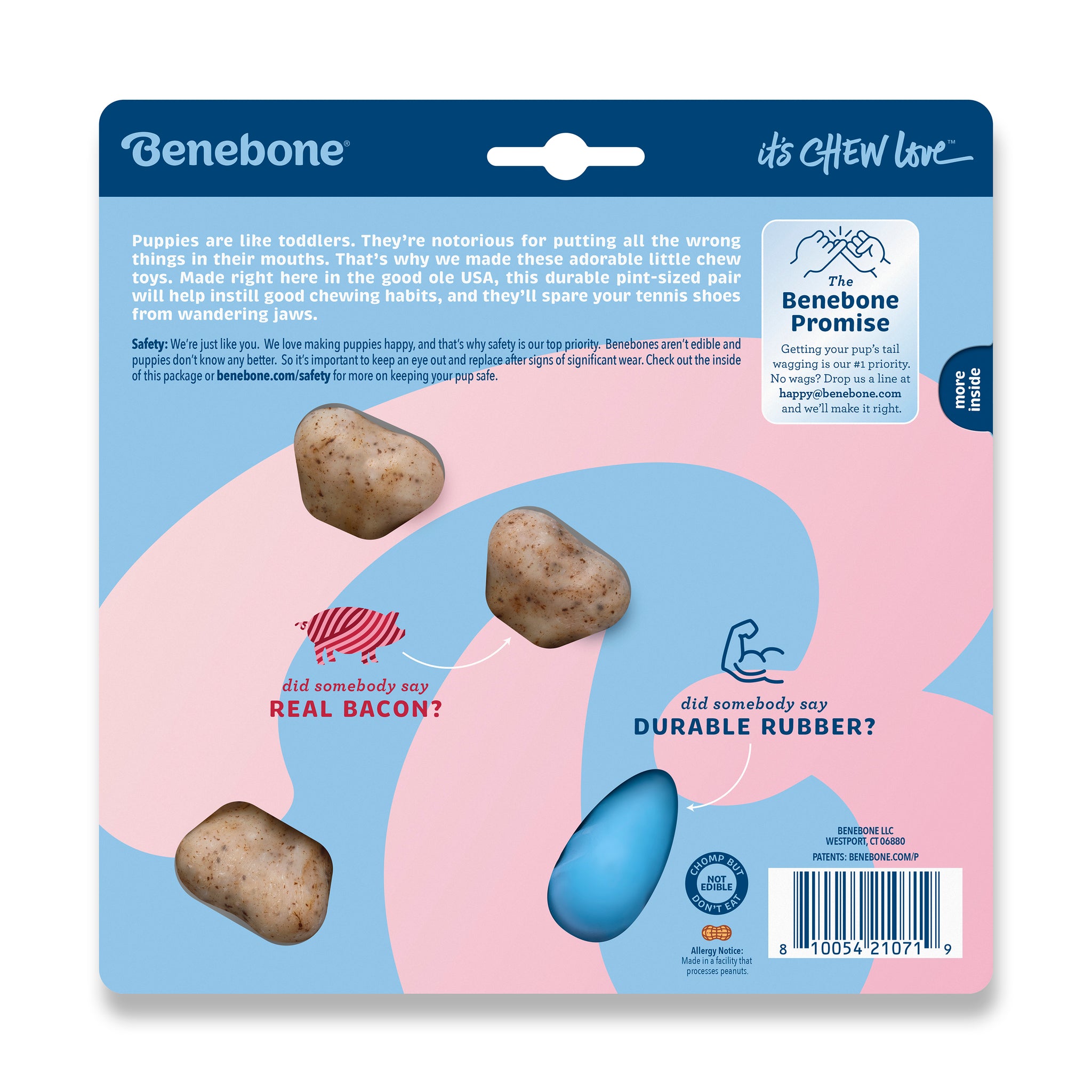 Benebone Wishbone & Puppy Chew Tiny 2 Pack