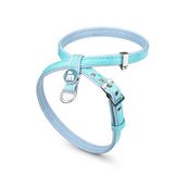 My Family Saint Tropez Dog Harness Turquoise