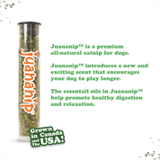 Doggijuana Tuffer Chewer Refillable Pretzel Dog Toy