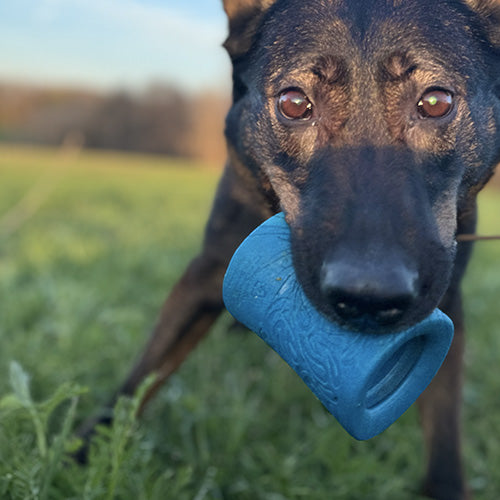 dog-toys-redridge.jpg
