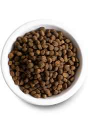 Open Farm Ancient Grain Salmon