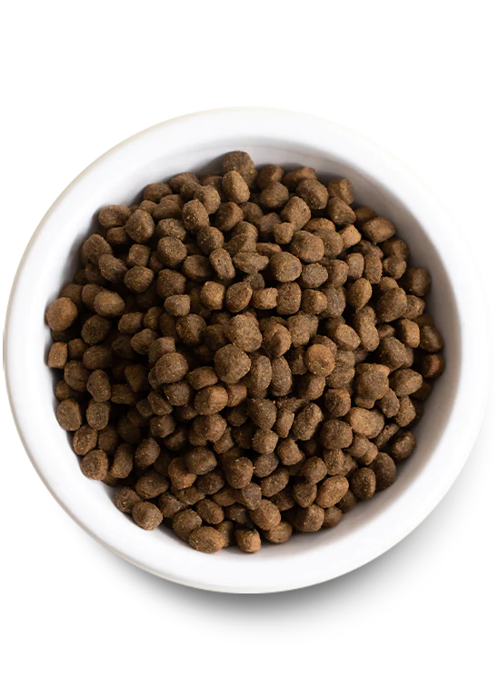 Open Farm Ancient Grain Beef