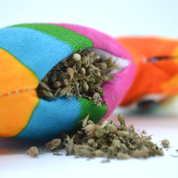 Meowijuana Get Smashed Pinata Wand Refillable Catnip Cat Toy