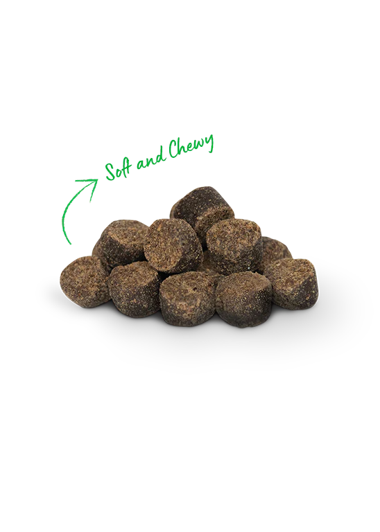 Open Farm Be Good Bites Beef Recipe 6oz