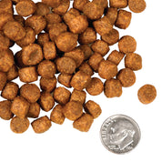 Fromm Dry Dog Food Game Bird