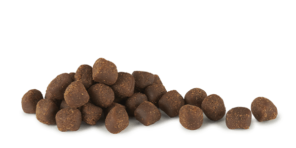 Cloud Star Tricky Trainers Chewy Cheddar