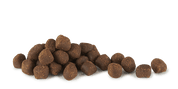 Cloud Star Tricky Trainers Chewy Cheddar