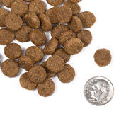 Fromm Classic Adult Large & Giant Breed Recipe