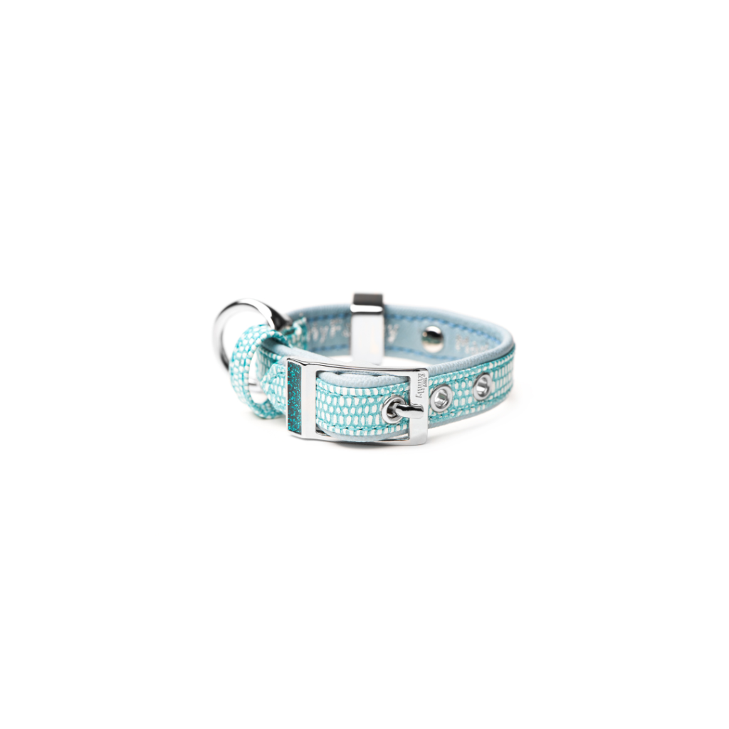 My Family Saint Tropez Dog Collar Turquoise 3/8 Inch Width