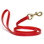 Biothane Leash 5/8 Wide X 6ft Long