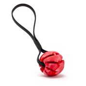 Dogline Rubber Spiral Ball With Biothane Handle Red & Black