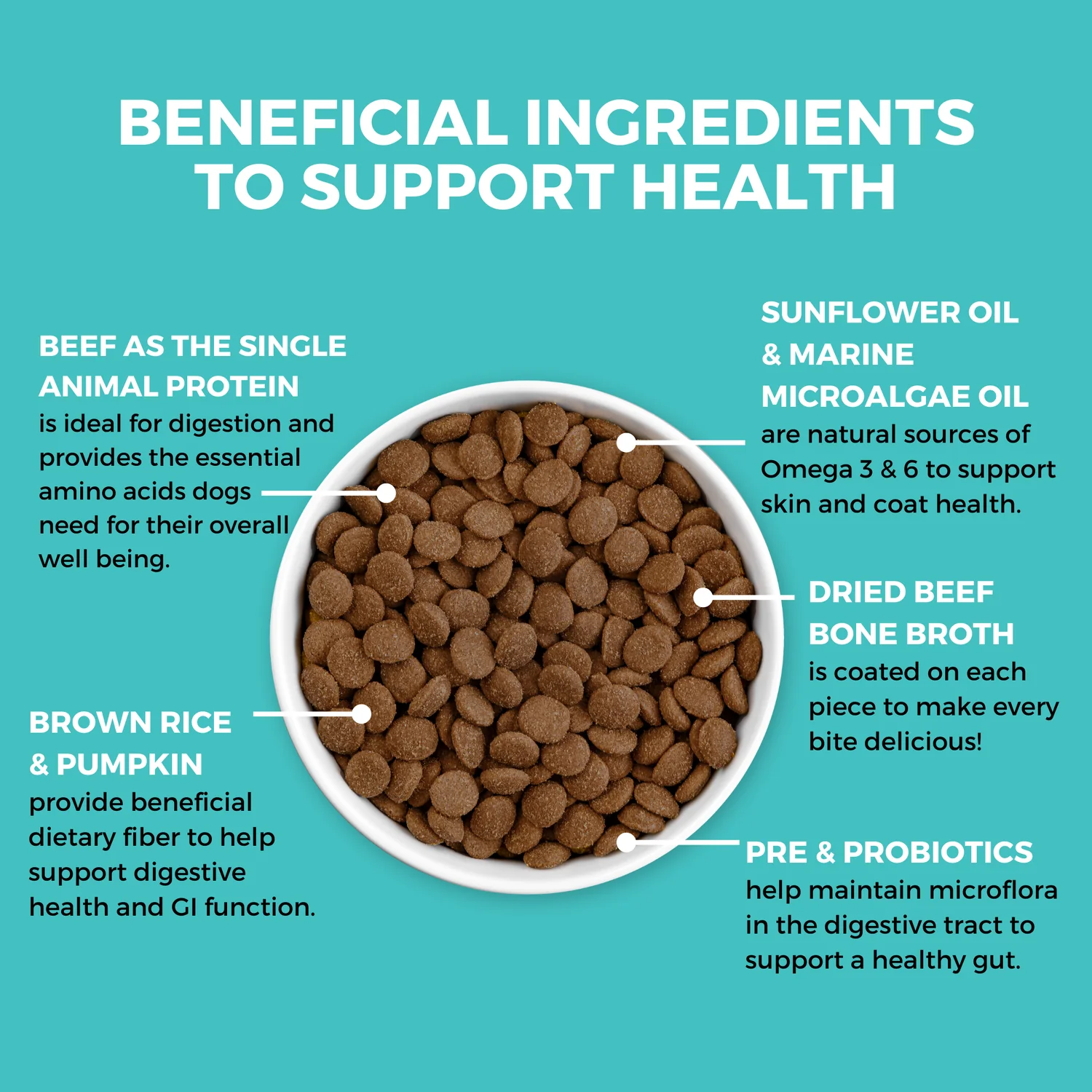 Koha LID Bland Diet Beef & Brown Rice